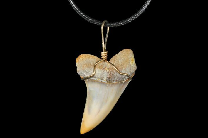 Fossil Mako Tooth Necklace - Bakersfield, California #130866